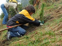Volontariato nel bosco in sei Paesi europei