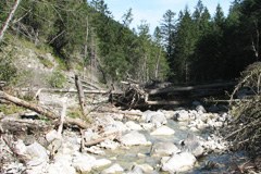 Energia elettrica ecosostenibile in Liechtenstein?