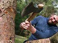 Esperienze a diretto contatto con il bosco di montagna