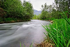 Fonte di vita e di guadagno