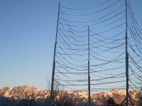 L'Austria si infila in un vicolo cieco?