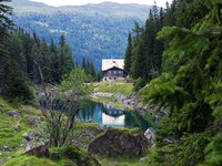 Braccio di ferro su un ambiente naturale di pregio