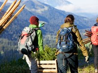 Crisi climatica: soluzioni dalla natura