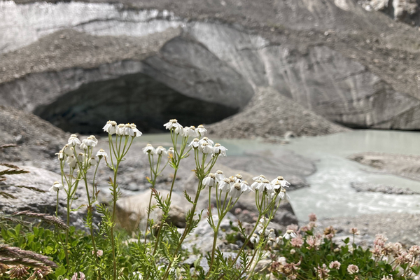 Fiducia nonostante un futuro senza ghiaccio