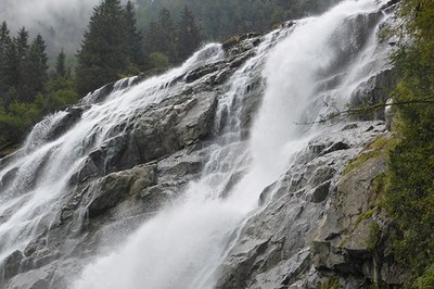 Il contributo di servizi offerto dalla natura