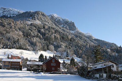 In che modo ecosistemi intatti migliorano la qualità della vita