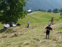 Istituzione di nuove aree protette: successi e insuccessi