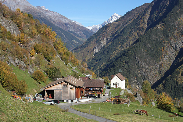 Per un’agricoltura di montagna più giovane