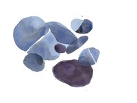 Pietre preziose per la biodiversità