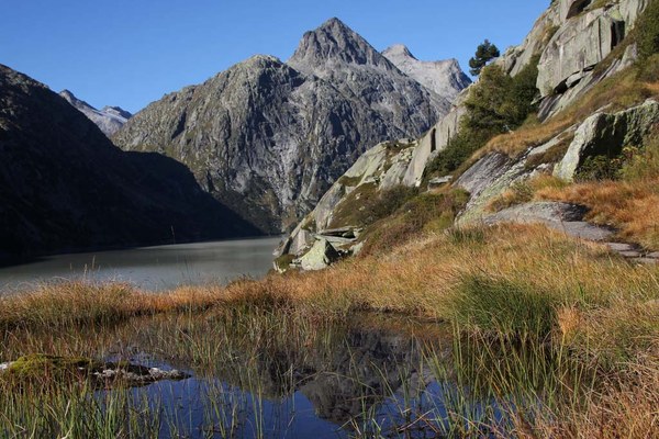 Una decisione storica per le torbiere