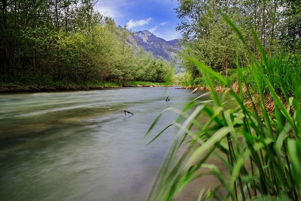 Via libera alla Nature Restoration Law dell’UE