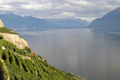 Risoluzione per l'istituzione e il mantenimento di una "Moratoria sull'utilizzo di organismi geneticamente modificati nelle Alpi"