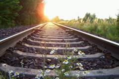 Risoluzione sulla nuova ferrovia di base Torino-Lione per il trasporto ferroviario delle merci tra Francia et Italia