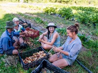 EmpowerLIFE – Fare e basta!