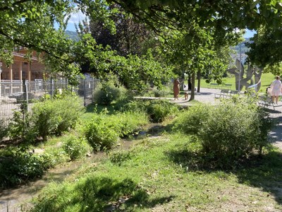Soluzioni basate sulla natura e le loro strutture di governance nello spazio alpino