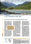 Pesca e reti ecologiche nelle Alpi