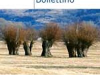 Smeraldo: una rete paneuropea