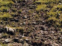 Mednarodna konferenca o erozijskih procesih