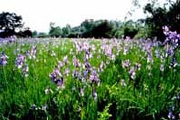 Mednarodna konferenca o upravljanju območij NATURA 2000