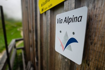20 let daljinske pohodniške poti Via Alpina