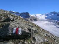 V Alpah postaja vroče