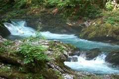 Varstvo voda v Sloveniji s podporo Bavarske