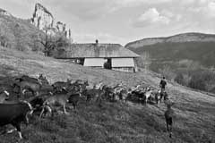 Prihodnost v Alpah se poslavlja