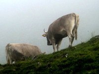 AgriMontana in AlpFUTUR