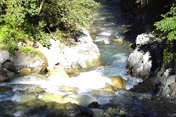 Hidroelektrarna ogroža projekt ustanovitve narodnega parka Locarnese