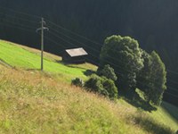 Kakšno naj bo evropsko kmetijstvo v prihodnje?