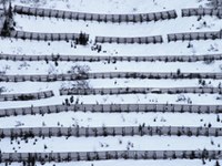 Ekonomska ocena ukrepov za zaščito pred naravnimi nesrečami