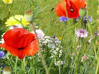 Sejem NATUR - petič zapored