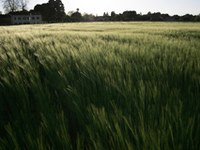 Spletni portal Alpske konvencije za podnebje