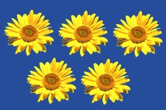 Skupna kandidatura Vorarlberga in Lihtenštajna za mladinske olimpijske igre 2015