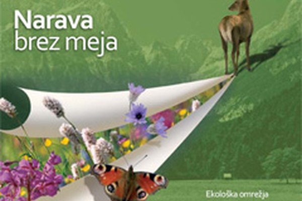 Narava brez meja: nova brošura za boljše razumevanje ekoloških omrežij