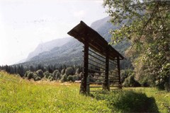 Kranjska Gora/SI: Na mesta, pripravljeni, zelena!