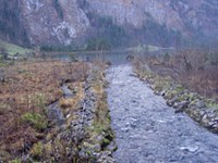 Nagrada za povezane habitate