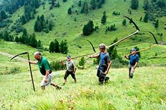 Nova zavarovana območja v Alpah