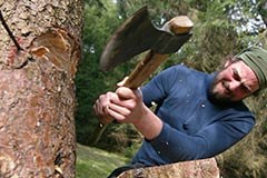 Gorski gozd čisto od blizu