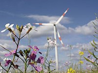 Projekt recharge.green želi povezati energijo z naravo