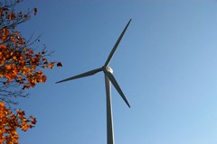 Doseči bo treba soglasje med varstvom narave in energijskim preobratom