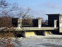 V Renu kmalu spet lososi