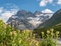 Doživetje zadnjih ledenikov