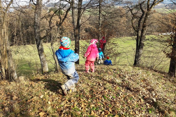 Gozdni vrtec, kjer otroci uživajo v naravi
