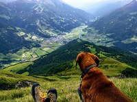 Kaj nam pripoveduje pokrajina