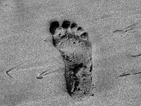 Kaj pričakujejo Alpe od Evrope