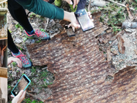 MODEL ALPSKE ŠOLE V IZOBRAŽEVANJU ODRASLIH –  IZZIVI UPRAVLJANJA V ČASU PODNEBNIH SPREMEMB