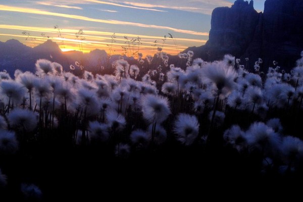 Na poti brez puščanja sledi