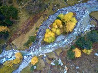 Ohranjanje in renaturacija rek na gorskih območjih