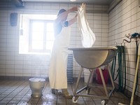 Ozelenitev gospodarstva